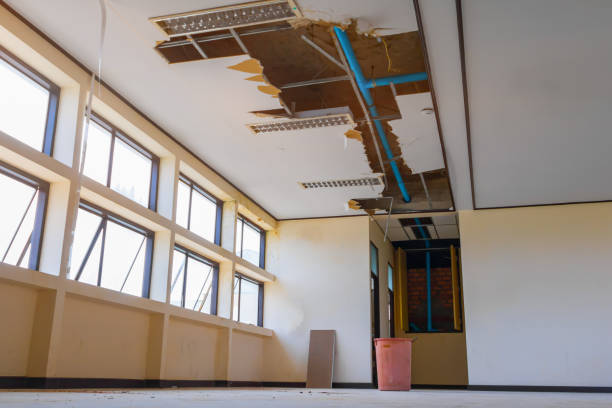 Best Residential water damage restoration  in Pepeekeo, HI
