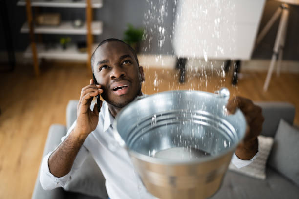 Best Ceiling water damage repair  in Pepeekeo, HI