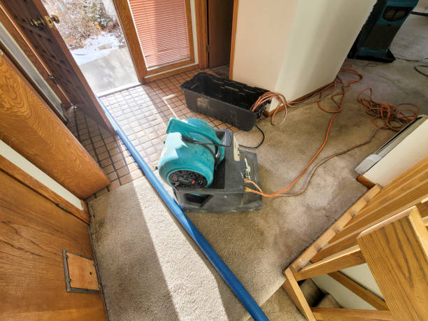 Best Flooded house restoration  in Pepeekeo, HI