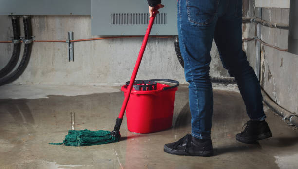 Best Water damage restoration near me  in Pepeekeo, HI