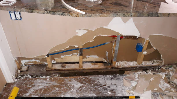 Best 24-hour water damage restoration  in Pepeekeo, HI