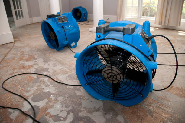 Sewage cleanup and water damage restoration in HI