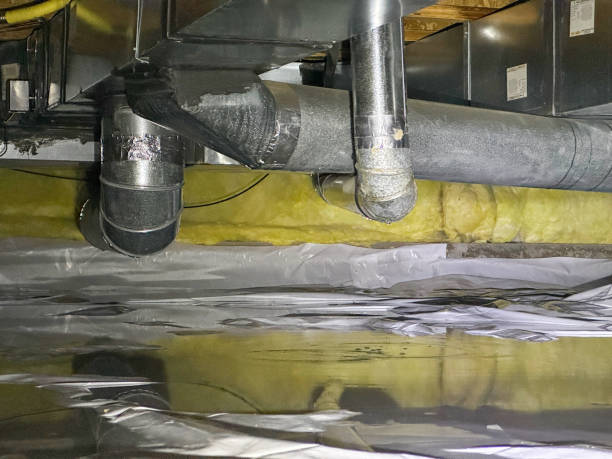 Best Local water damage restoration  in Pepeekeo, HI