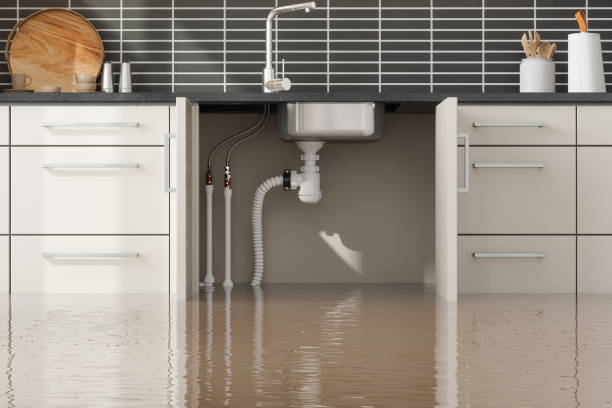Best Water damage restoration mold remediation  in Pepeekeo, HI