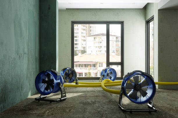 Best Sewage cleanup and water damage restoration  in Pepeekeo, HI